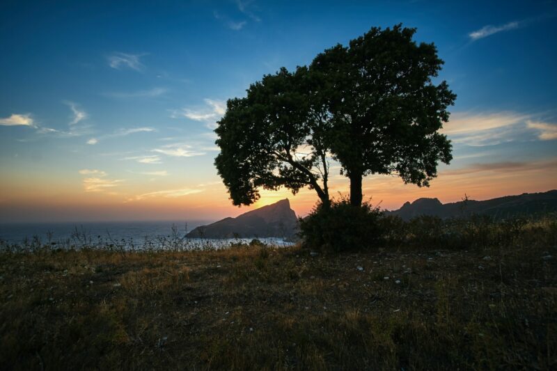 Randonnées dans les calanques de piana