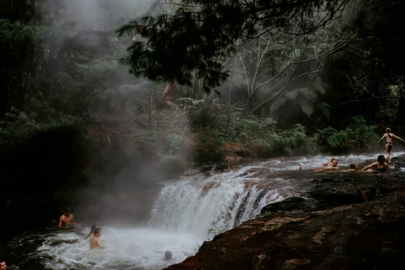 La Forêt d’Aïtone