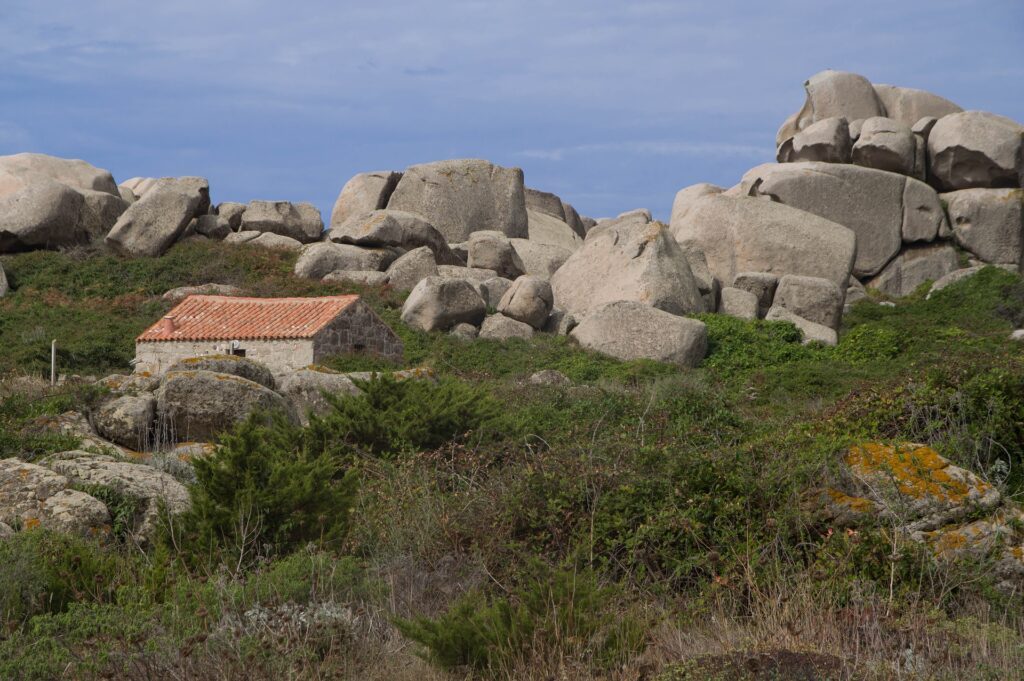 location bergerie 2 personnes corse
