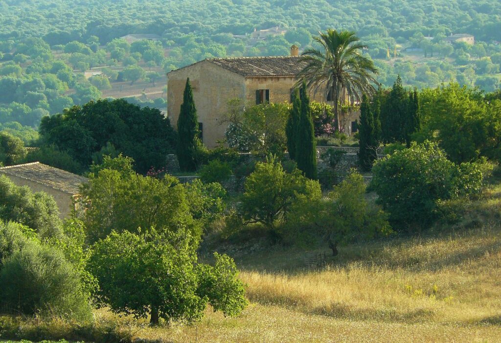 bergerie corse a vendre porto vecchio